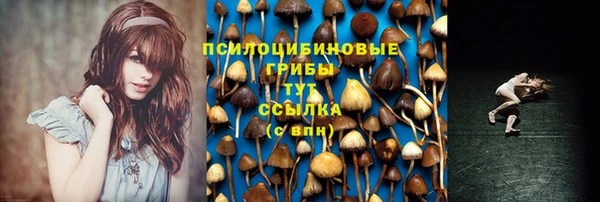 прущая мука Слюдянка