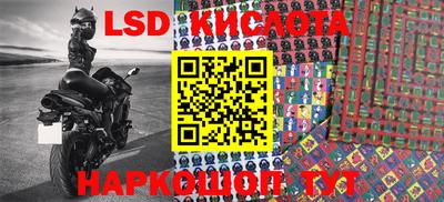 прущие грибы Кандалакша