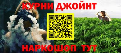МДПВ Камышлов