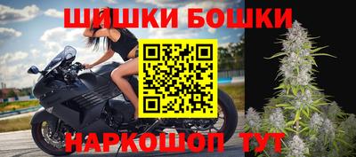 МДПВ Камышлов