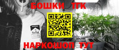 прущие грибы Кандалакша