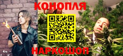 прущие грибы Кандалакша