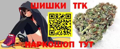 МДПВ Камышлов