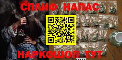 МДПВ Камышлов
