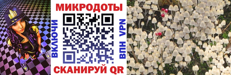 Псилоцибиновые грибы Psilocybe  blacksprut онион  Котельники 